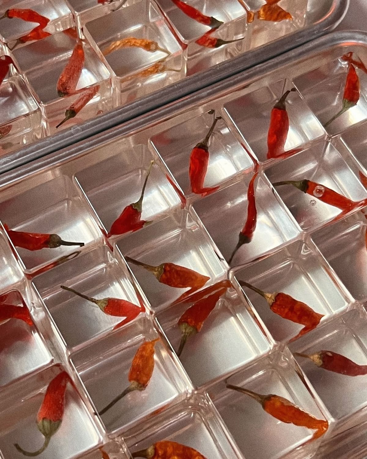 Chilli peppers in ice moulds — detail in food presentation